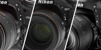Nikon D750 vs Nikon D810 vs Nikon D610