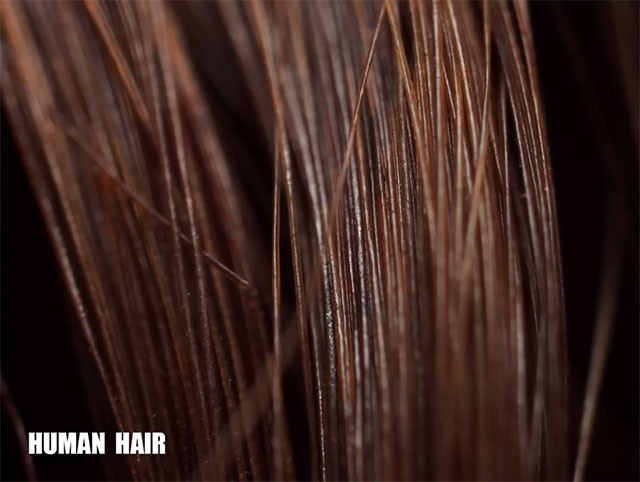Волосы человека