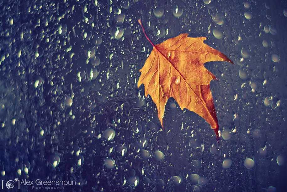 fall-nature-photography-autumn-colors-alex-greenshpun-11