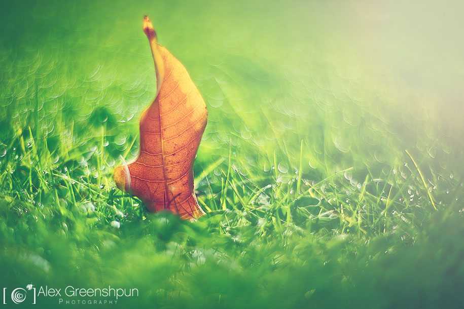 fall-nature-photography-autumn-colors-alex-greenshpun-20