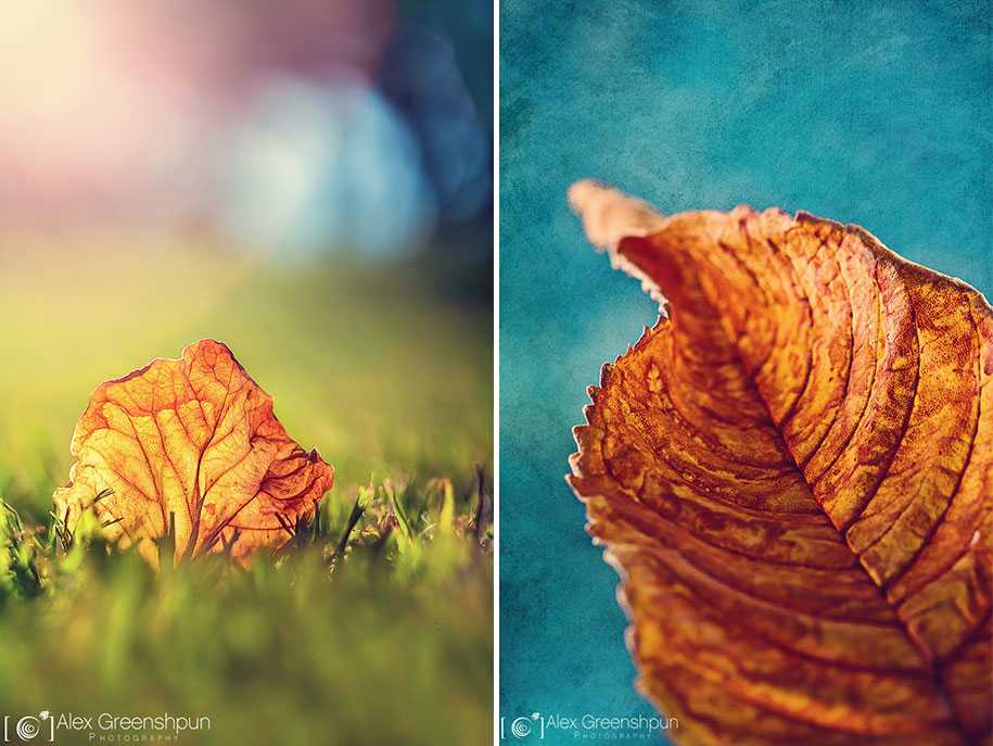 fall-nature-photography-autumn-colors-alex-greenshpun-21