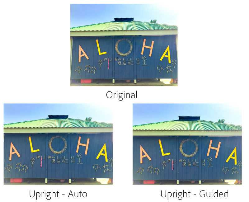 Guided-upright-Aloha-800x649