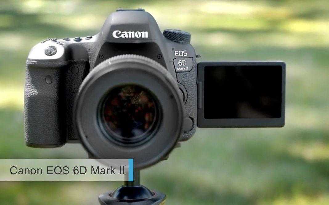 Лучшие полнокадровые фотоаппараты 2017-2018 среднего уровня. второе место: Canon EOS 6D Mark II