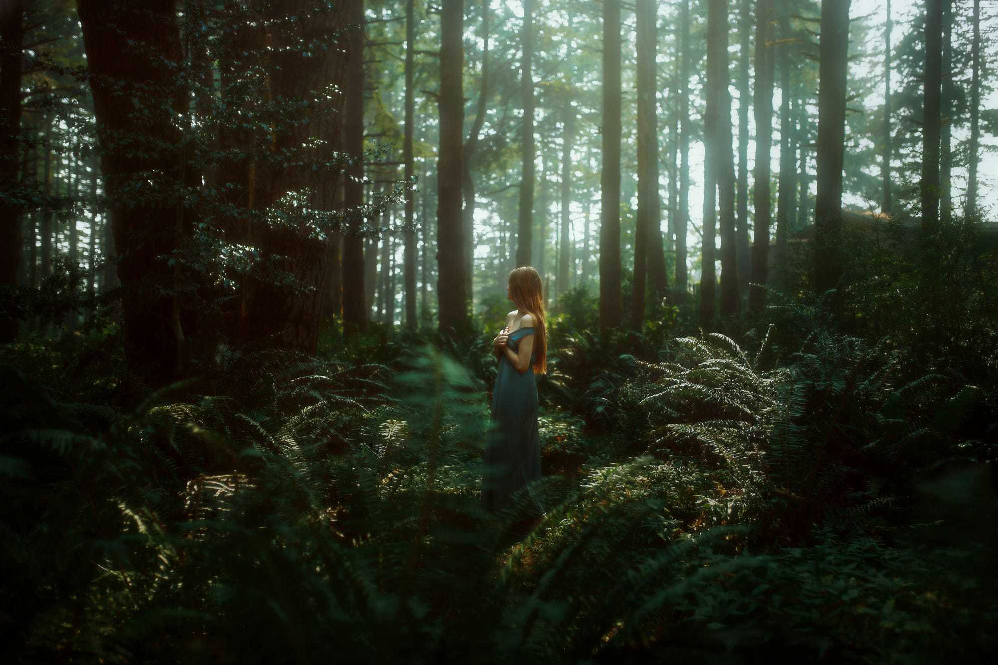Включи девочку в лесу. Девушка в лесу. Девочка в лесу. Девушка в еловом лесу. Человек в еловом лесу.