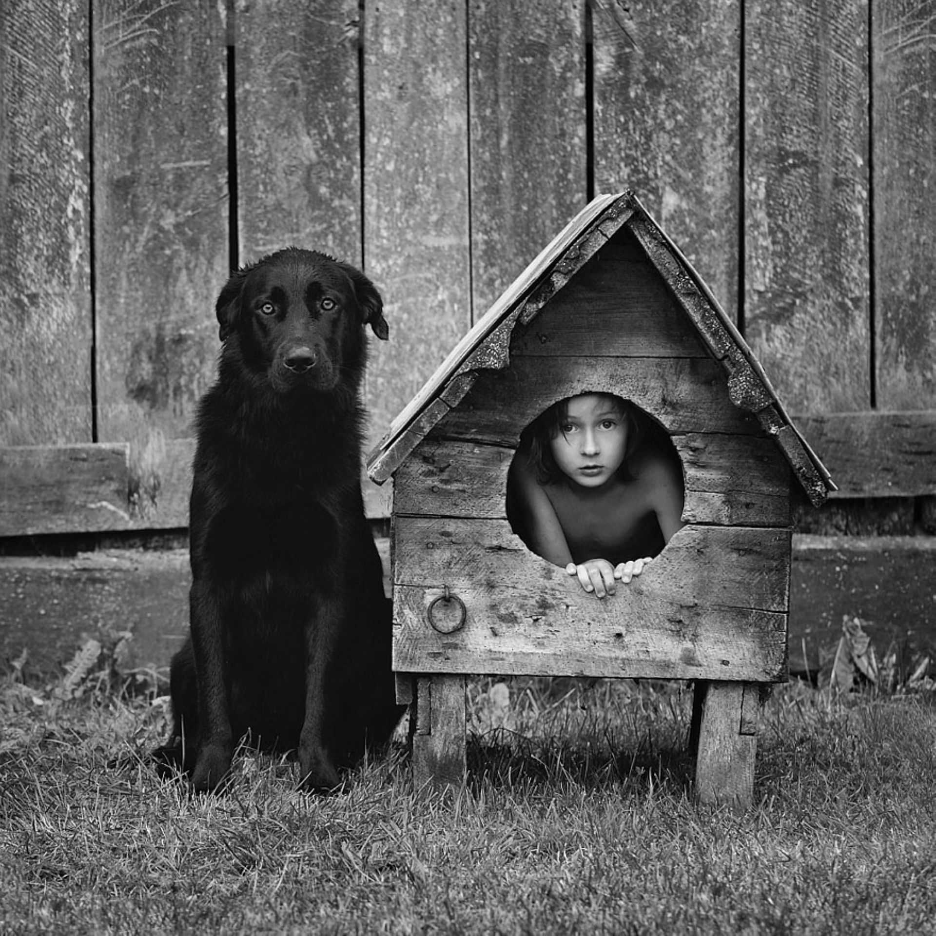 Ребенок жил с собакой. Фотограф Себастьян Лучиво. Будка для собаки. Собачья будка в деревне. Собака с конурой.