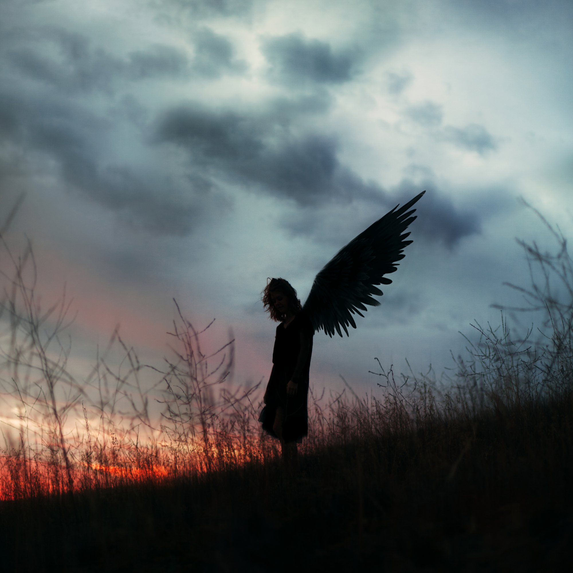 Обидеть ангела. Черный ангел. Одинокий ангел. Человек с крыльями. Человек с черными крыльями.